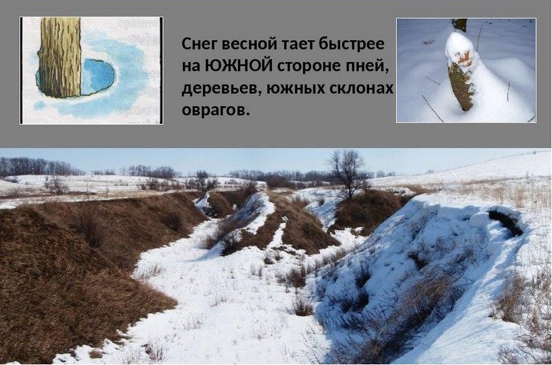 По таянию снега