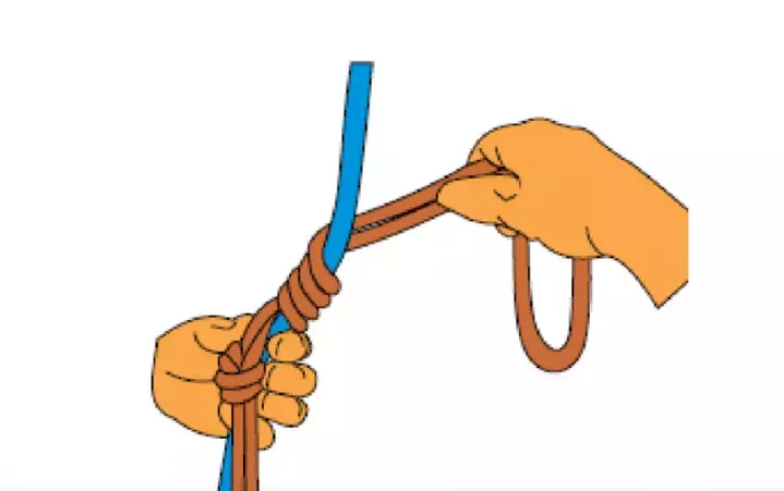 Французский схватывающий
