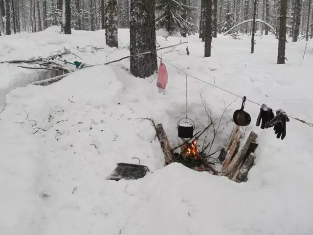 Поиск пищи