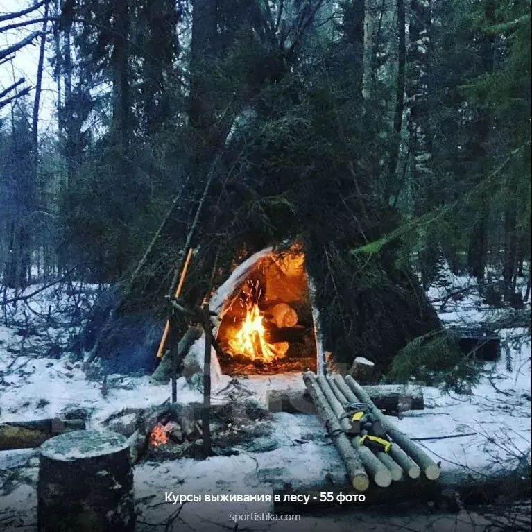 Выживание в зимнем лесу