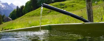 Как правильно набрать воду из стоячего водоёма