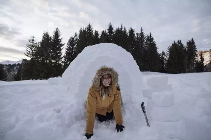 Зимнее выживание в лесу