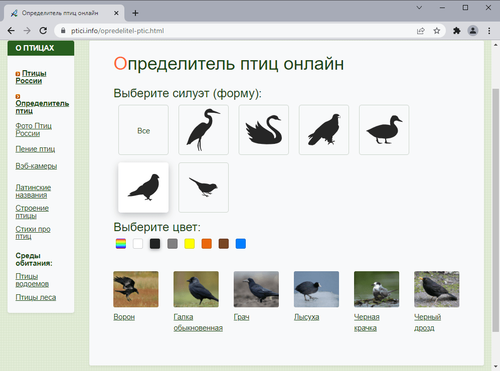 Определение птиц по фото