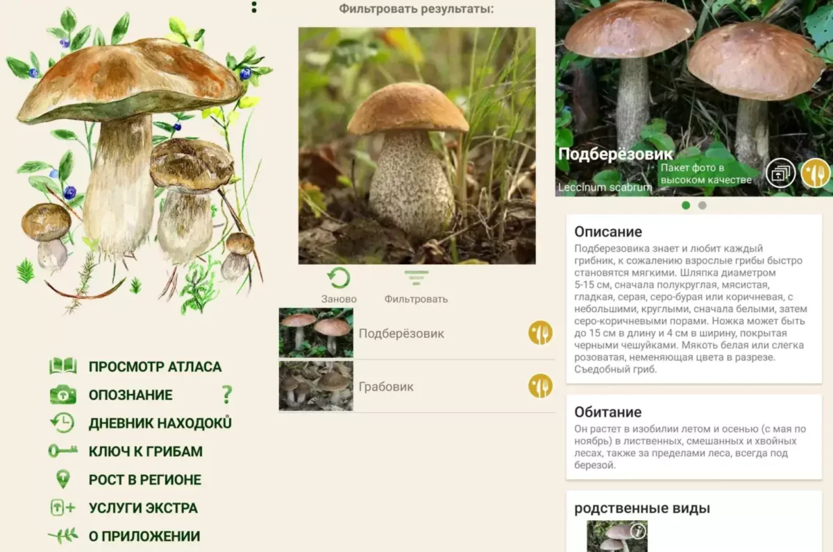 Mushroom App