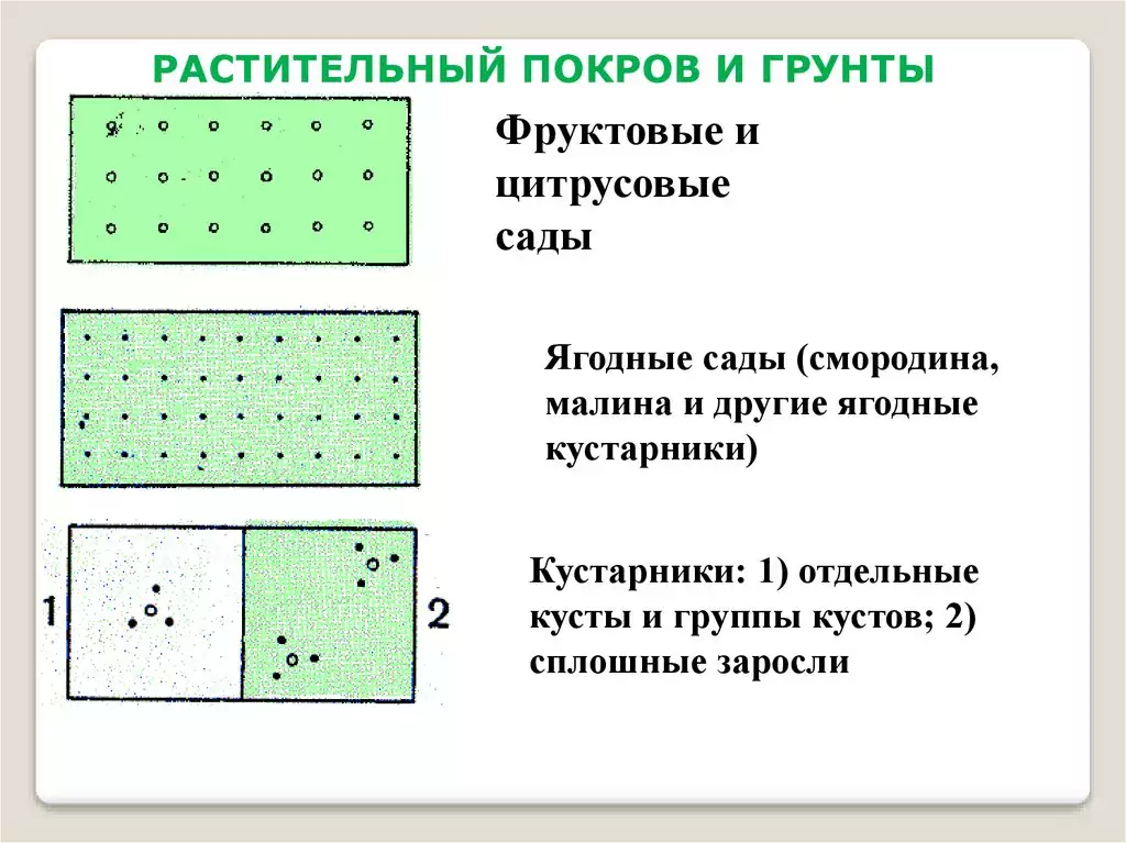 Растительный покров и грунты