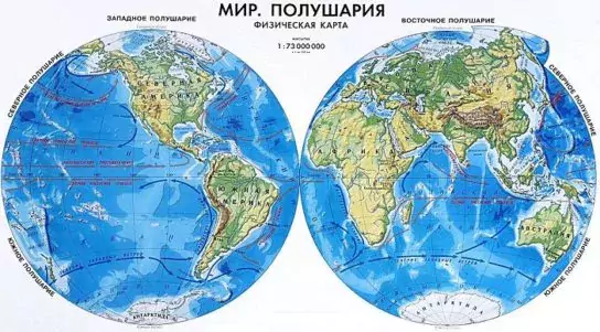 Виды полушарий и различия между ними