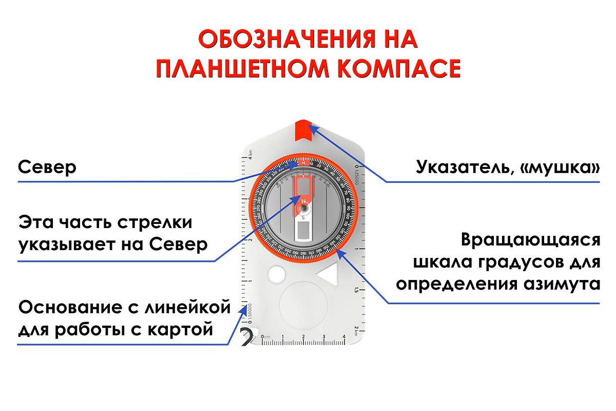 Виды компасов